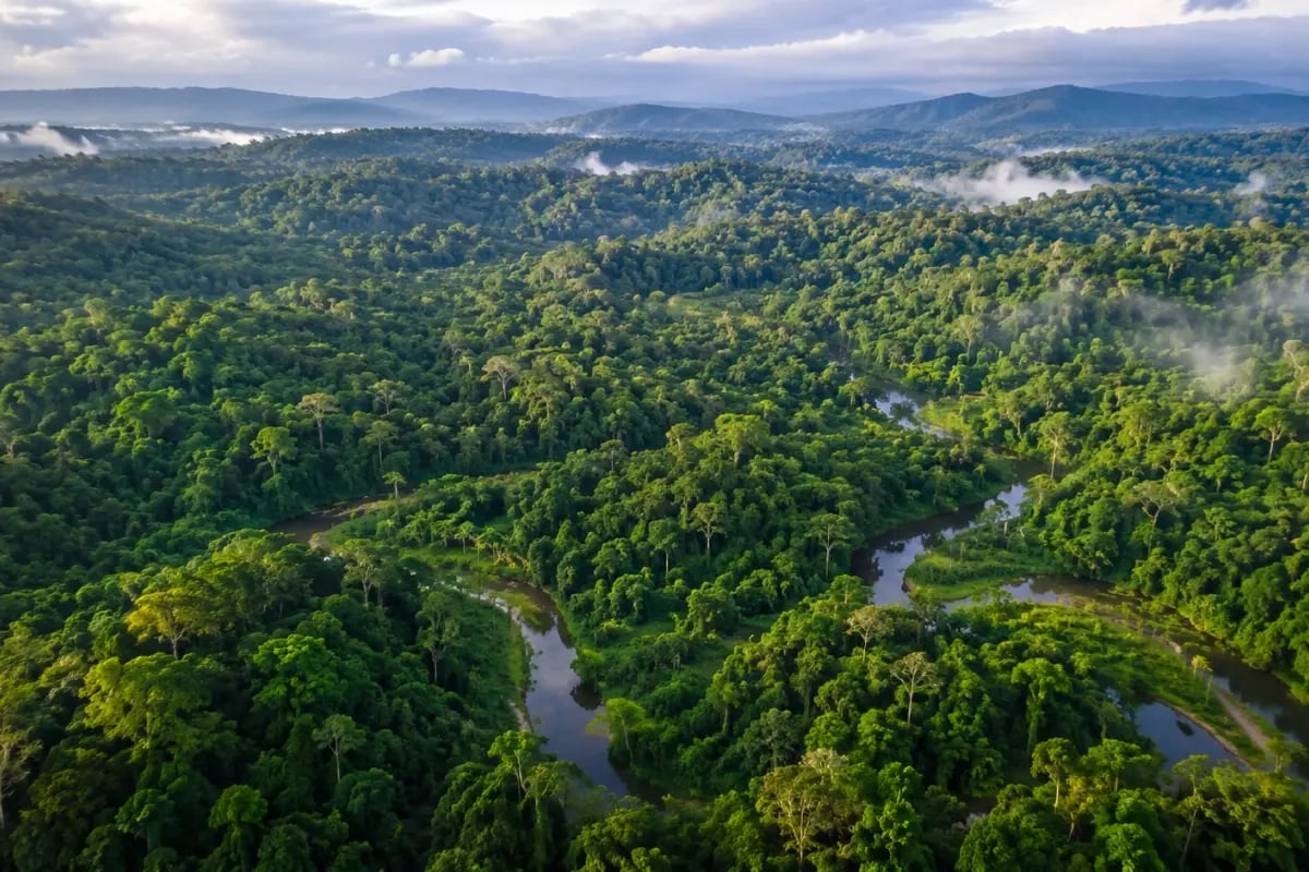 020626_Indonesia Issues New Forestry Carbon Market Regulation_visual 1