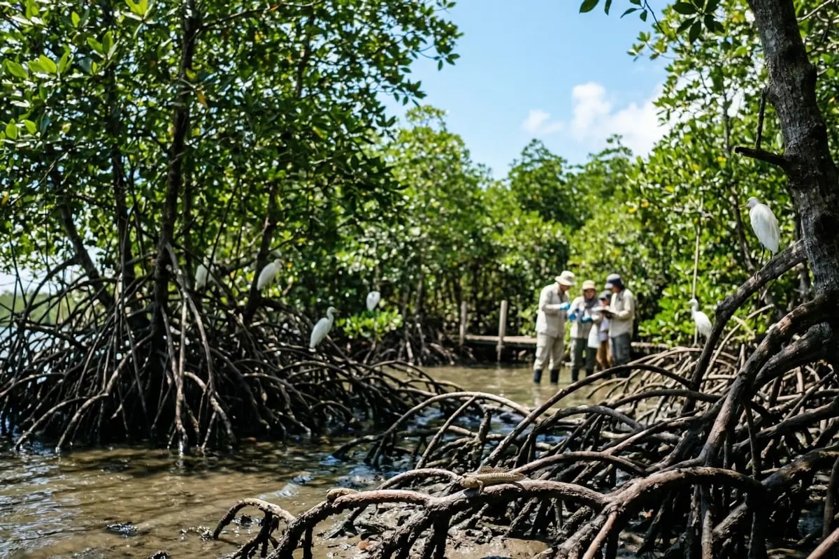 060426_Japan Doubles Down on Blue Carbon with Grants and Cross-Border Collaboration_visual 1