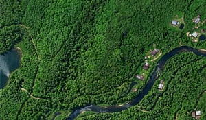 A new frontier for forest carbon: Verra targets degradation