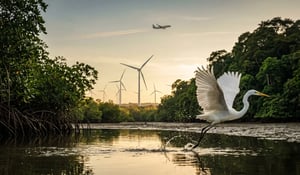 Compliance and quality redefine carbon credit supply in Q1 2026