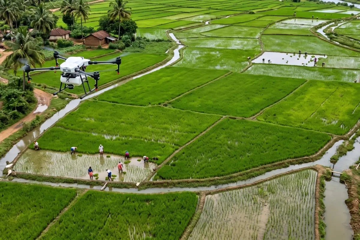 150926_Google Seals Largest Rice Methane Carbon Credit Deal_visual 1