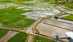 Google signs its largest rice methane credit deal