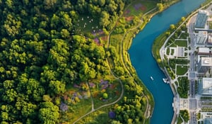 Record Capital Flows Into Carbon Credits as Buyers Act Early
