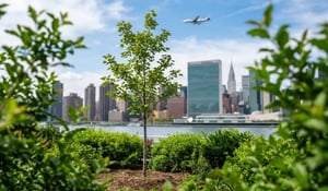 Article 6 Carbon Credits Explained