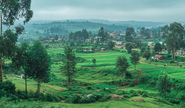 Kenya puts biodiversity at the heart of economic strategy