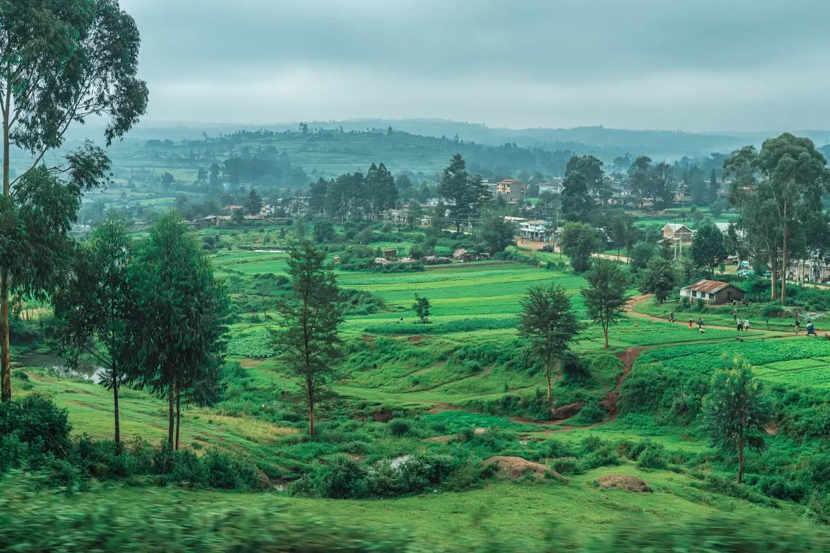 270426_Kenya puts biodiversity at the heart of economic strategy_visual 1