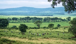 Kenya reframes nature as an economic asset with a new finance initiative