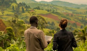 30 Million Trees: Inside Microsoft’s Massive Ugandan Carbon Bet