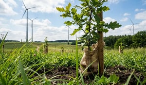 Energy majors post record carbon credit retirements as nature-based solutions lead the way