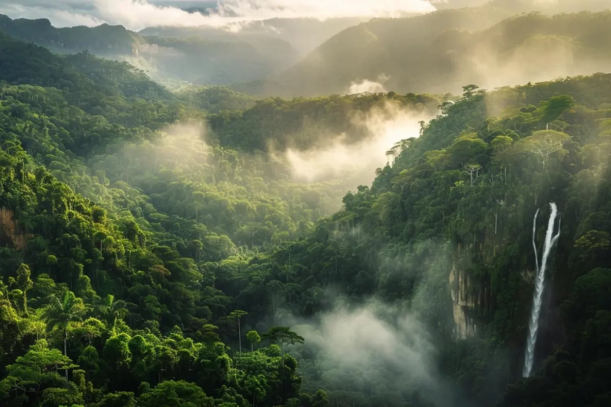 Argentina Debuts First-Ever Carbon Credit Exchange_Scenic view of Argentina’s Selva Misionera rainforest, with misty hills and a waterfall at daybreak_visual 1