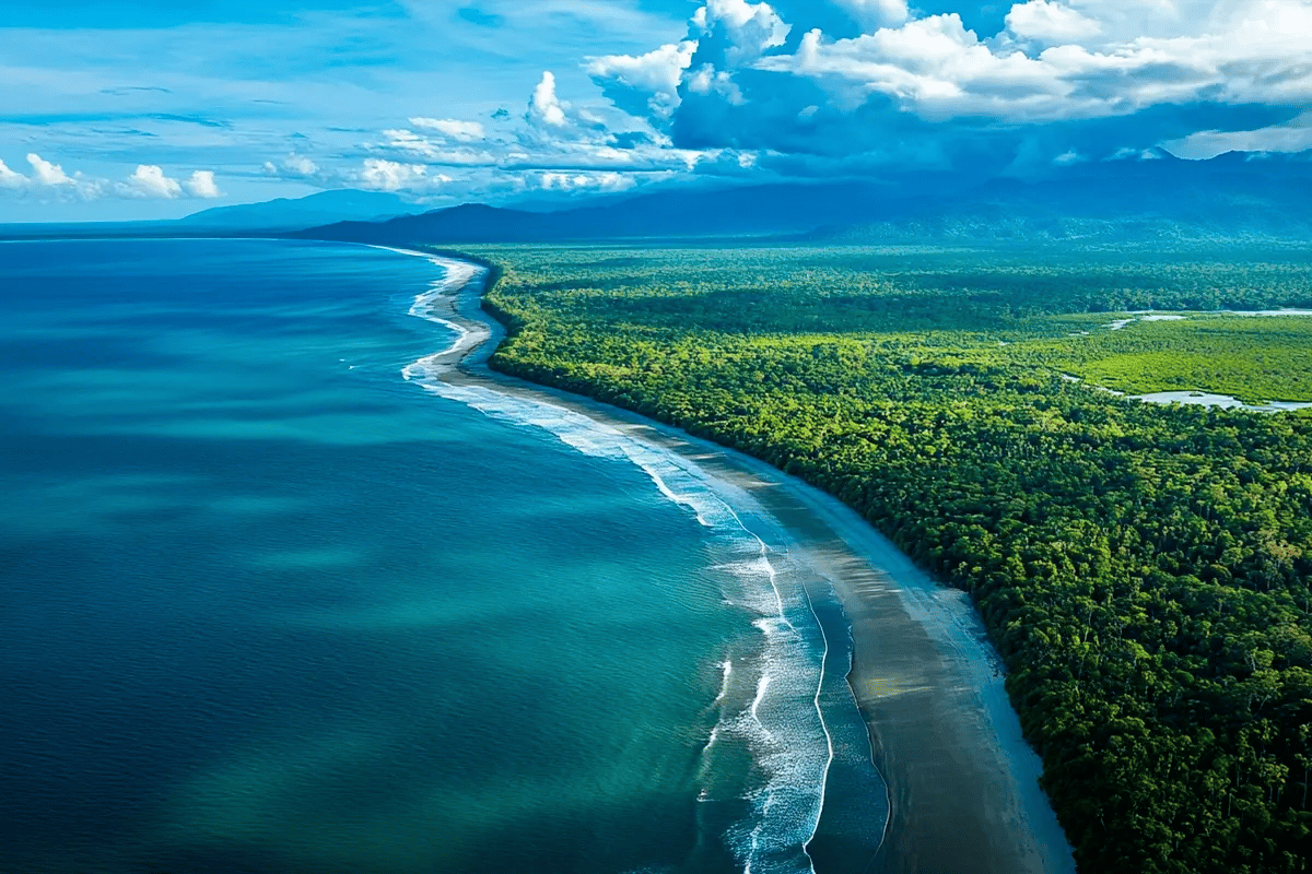 Australias ACCU price boom_ What’s driving the 2025 surge__Aerial view of the Daintree Rainforest and the Great Barrier Reef_visual 1 CU