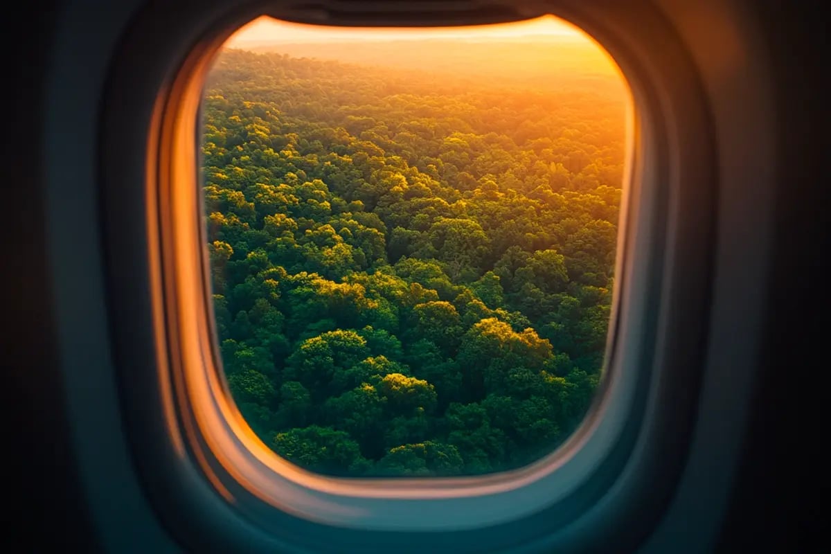 Aviation Faces Carbon Credit Crunch_ Prices Could Hit $50_Aerial view of a dense forest through the plane window_visual 1