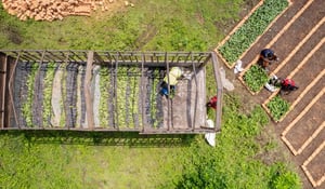 Beyond tonnes: How carbon credit co-benefits elevate value