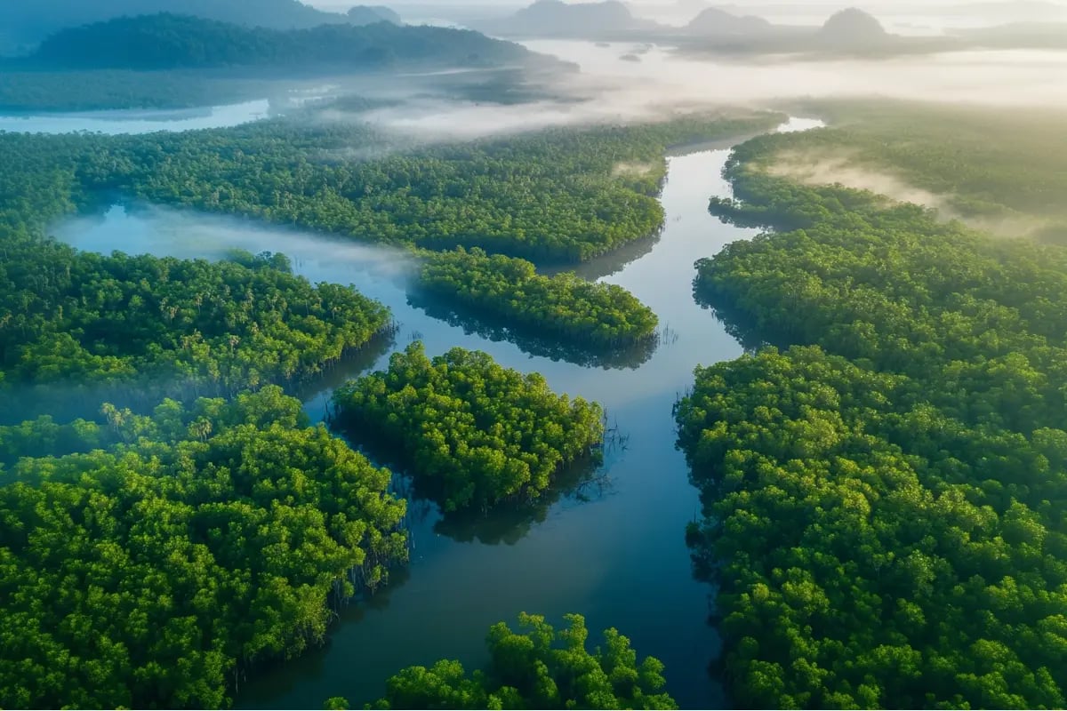 Blue Carbon—Unlocking the Potential of Coastal Ecosystems_visual 4