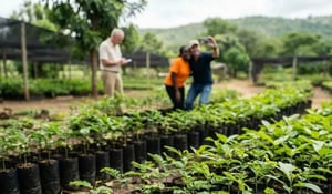 Building global awareness: Green Earth’s outreach to independent analysts and commentators