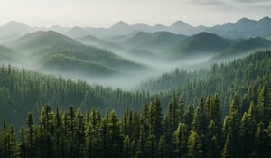 China’s ETS Could See 33-Fold Expansion by 2030