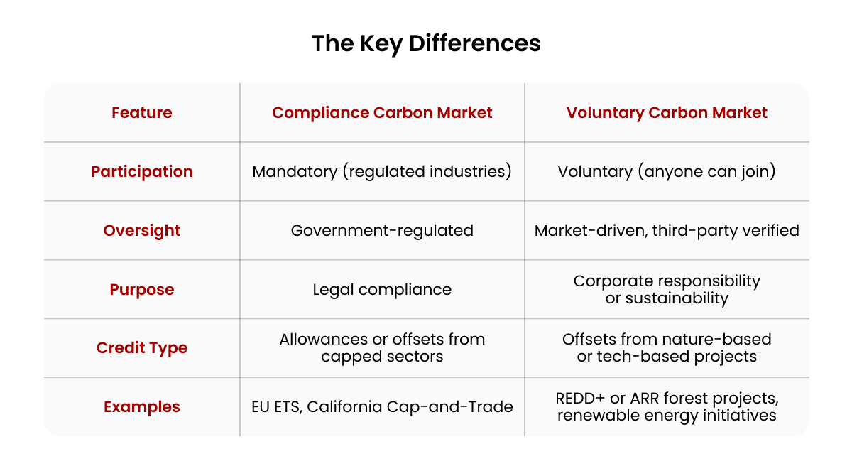 Compliance vs Voluntary Carbon Markets Whats the Difference_Table showing The Key Differences_visual 4