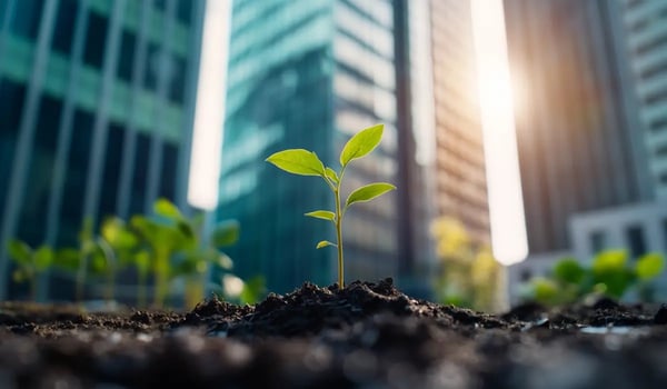 Corporate Net Zero Targets Surge After 2024, New Study Shows