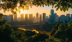 Brazil targets 2026 for national carbon registry launch