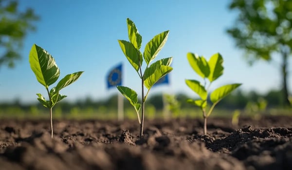 EU Agrees to Include Carbon Offsets for Its 2040 Green Transition