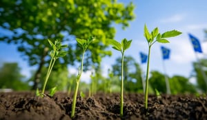 EU endorses the use of carbon credits in achieving the 2040 green goal