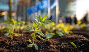 EU ministers endorse 2040 emissions plan, opening the door to Article 6 credits