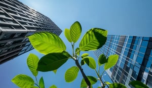 Global Carbon Market Surges with Record Deals and Rising Investments