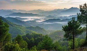 Italy Launches National Carbon Registry to Boost Forest Protection