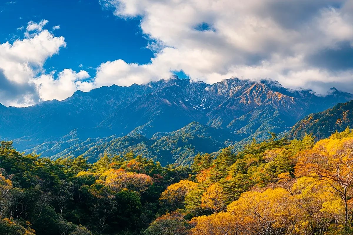 Japan Revamps Carbon Credit Scheme to Meet Paris Agreement Standards_Situated on Yakushima Island, the Yakushima Forests_visual 1