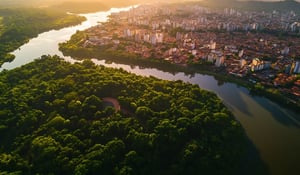 Key takeaways from COP30: From resilience to carbon trading