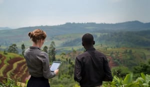 Microsoft secures 2 million carbon credits in a landmark forestry deal in Uganda