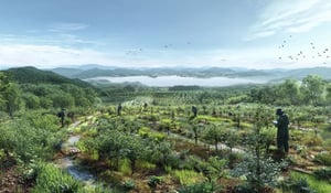 November sees strong nature-based carbon activity and new premium pricing signals