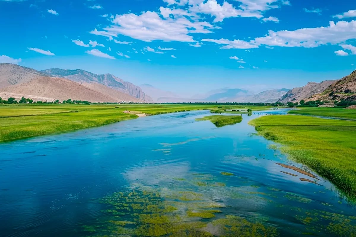Pakistan Joins Global Carbon Trade with First Article 6 Project Greenlights_Panoramic view of the Indus River surrounded by green fields in Punjab_visual 1