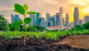 Singapore Commits to Carbon Trading and Innovation in Green Tech