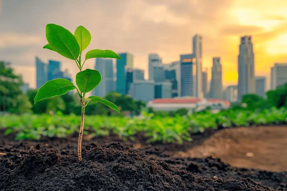 Singapore Commits to Carbon Trading and Innovation in Green Tech_A close-up of a young green seedling with Singapore’s skyline in the background_visual 1
