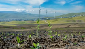 South Korea’s Province Strikes First-of-Its-Kind Carbon Deal with Mongolia