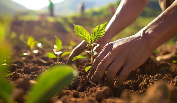 Switzerland May Need 80 Million Carbon Credits to Stay on Track With Green Goals