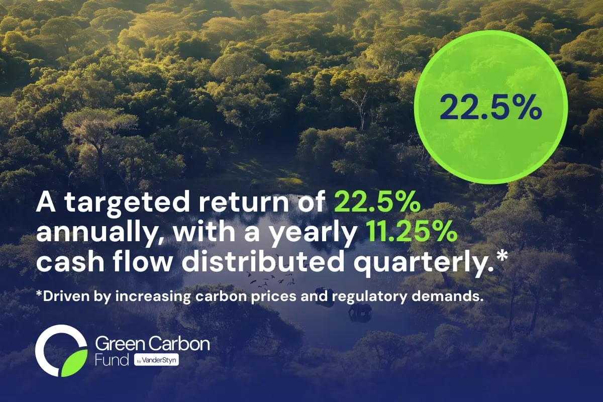 The Carbon Unit Market_ A 2025 Overview_visual 3