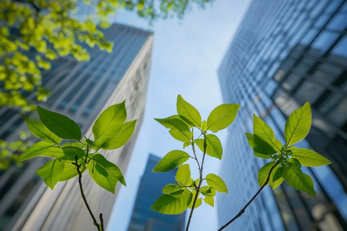 The Rise of Nature-Based Solutions in Carbon Offsetting_Young green deciduous seedlings growing in an urban park, with modern office buildings towering in the background_visual 1