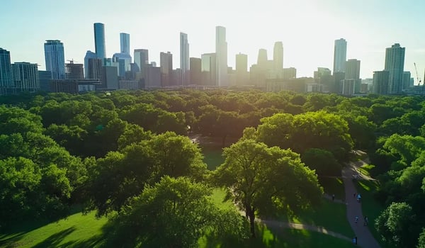 The Role of Carbon Credits in Achieving Sustainability Goals