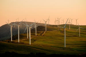 Navigating the Waters of Sustainability: The Role of Renewable Energy