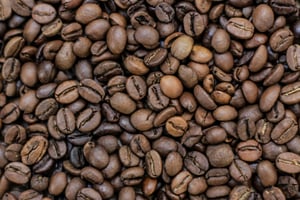 NetZero's Bold Move to Transform Biochar Production with €18m funding and partnership with Nespresso