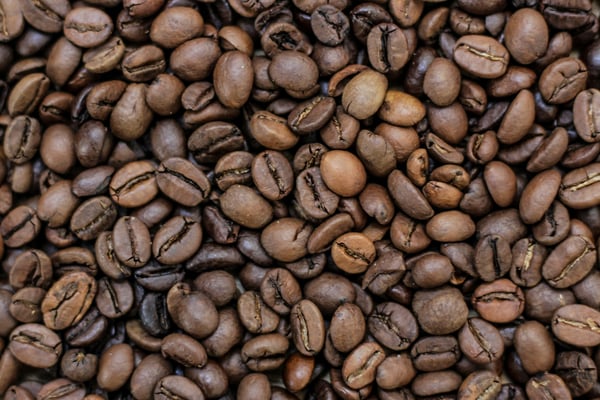 NetZero's Bold Move to Transform Biochar Production with €18m funding and partnership with Nespresso