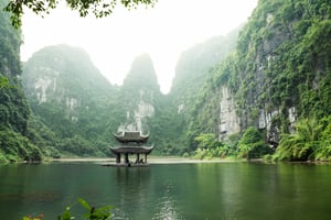 Intraco Carbon Marks a Milestone with the First 'Article 6 Authorized' Credits in Asia