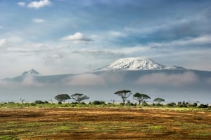 Netflix, Apple, Shell, Delta Join Kenya’s Kenya's Carbon Credit Expansion