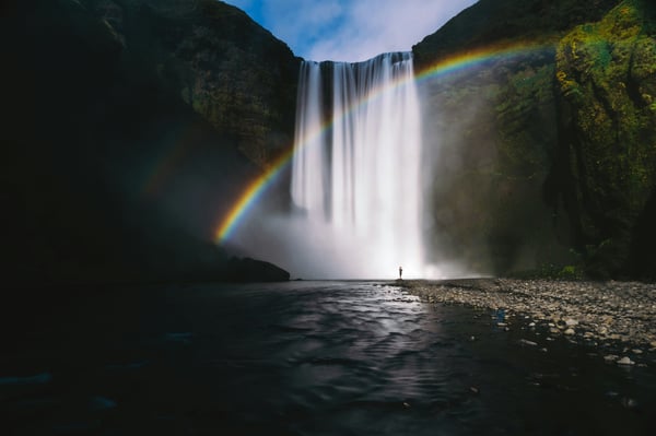 Empowering Biodiversity Markets: A $100 Million Impact Fund