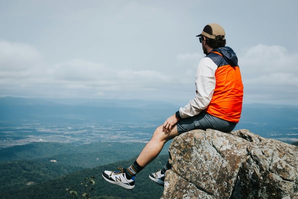Virginia's $150 Million Investment in Carbon Credits and Sustainability